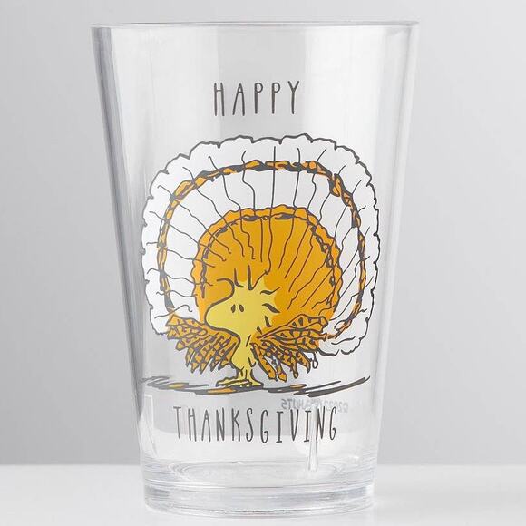 Pottery Barn Woodstock Peanuts Plate Bowl Cup Set - Thanksgiving Turkey Snoopy - Picture 4 of 7